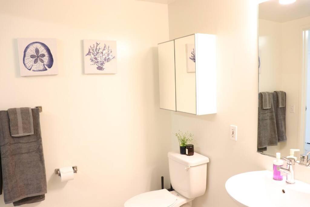 Lovely Studio On The Promenade With Parking! Apartamento *